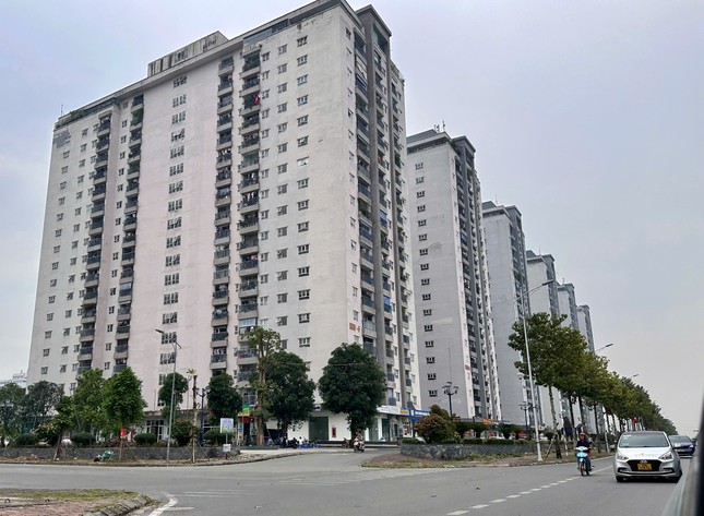 def39deb8ada232db805.jpg