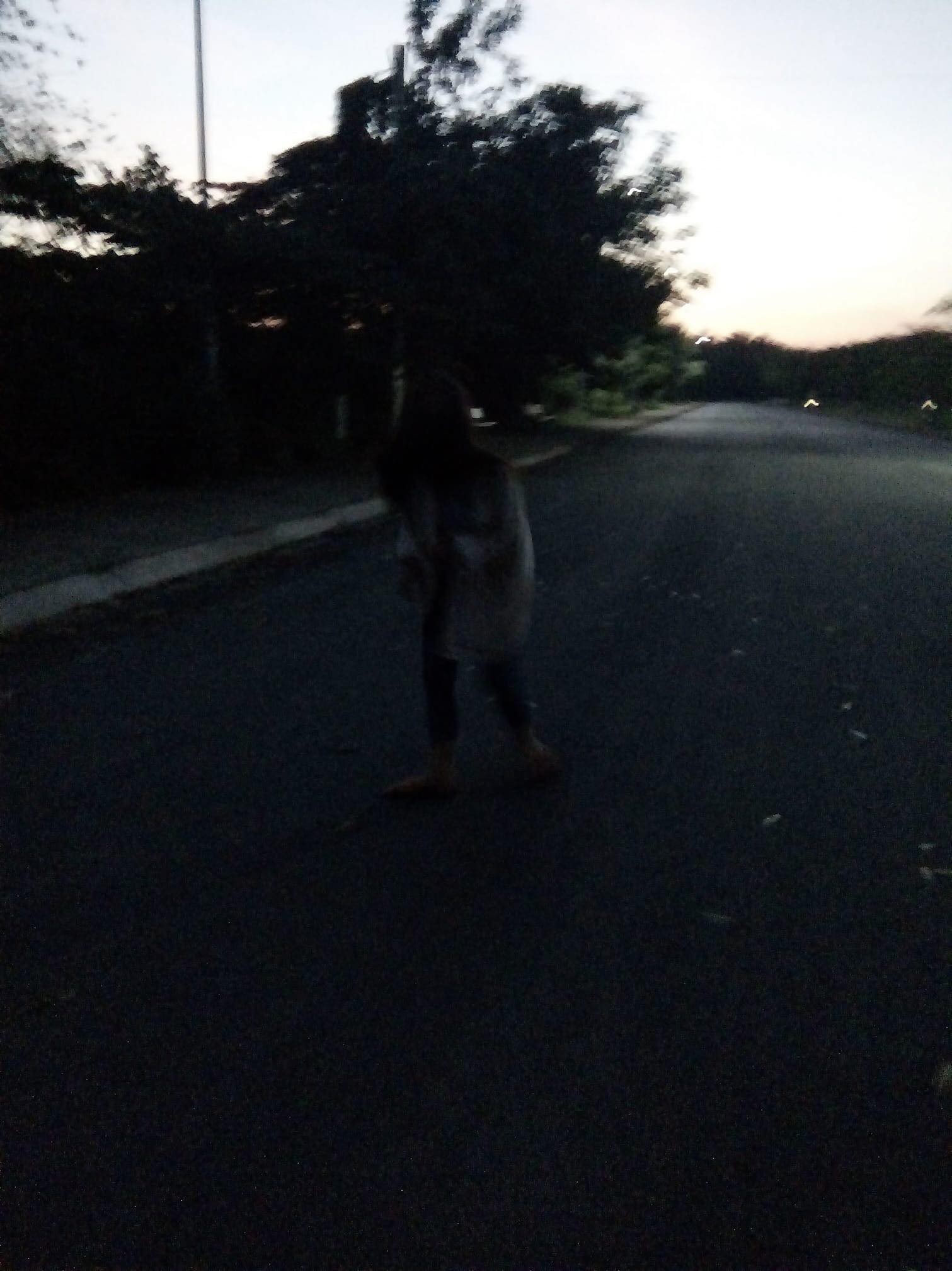 df2590aee69c73c4bd00.jpg