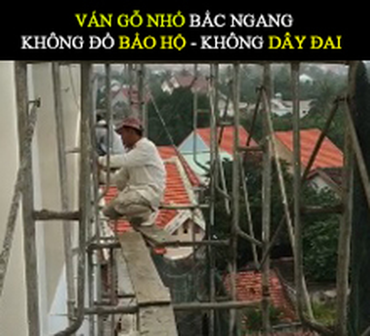 df381b458a5b45a7792e.jpg
