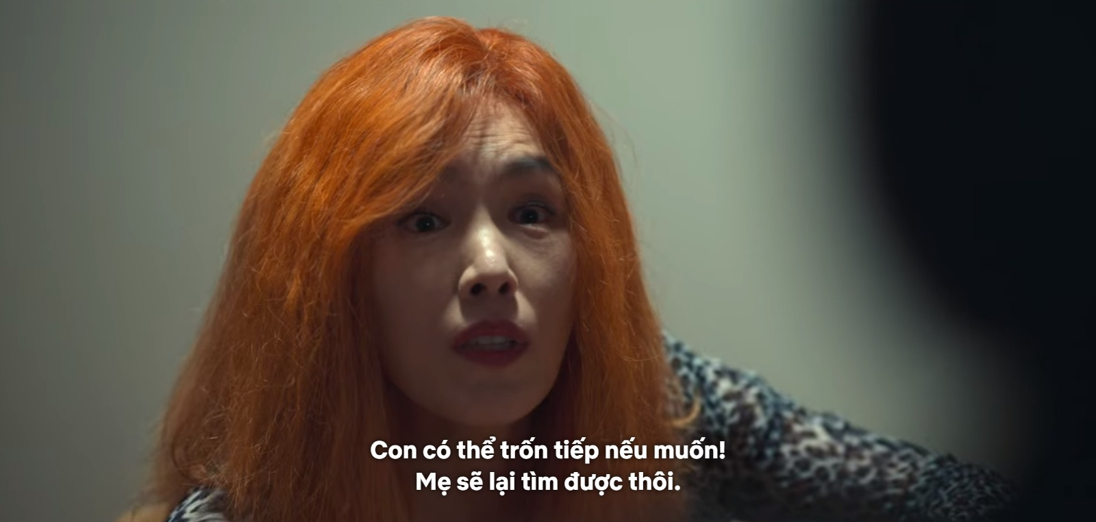 df50c73ebf5c593816d0.png