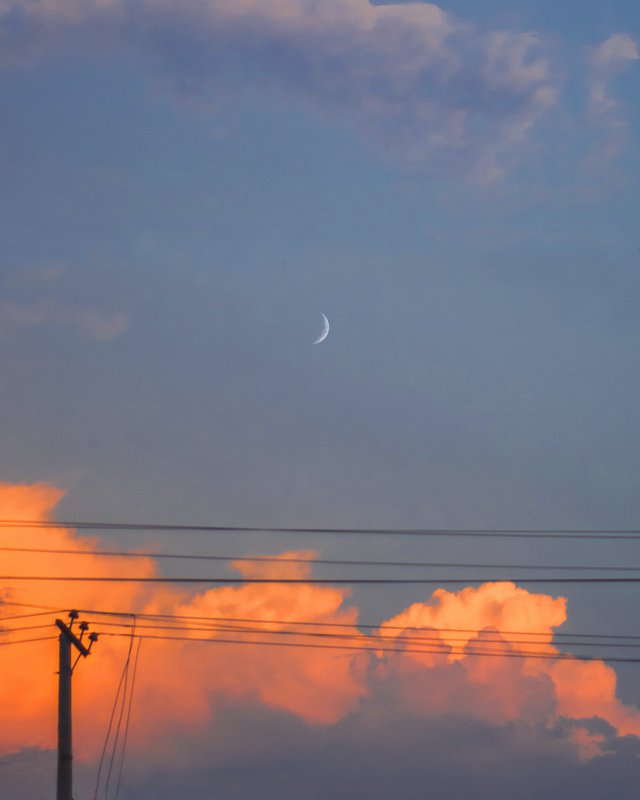 df82eb4a919deb0495a7.jpg