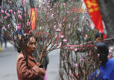df91cd516a01df70c969.jpg
