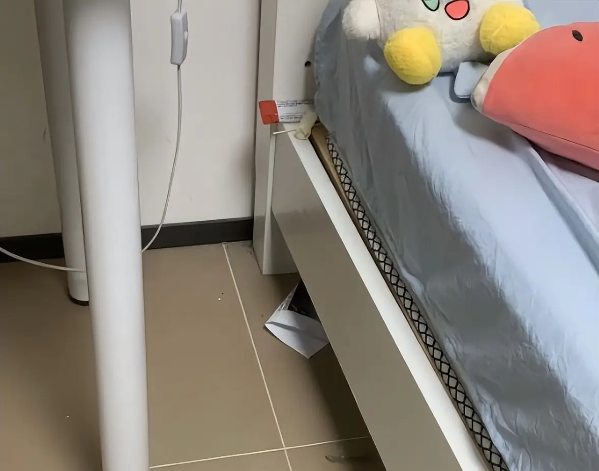 df9ae97d3d3d91b232ca.png