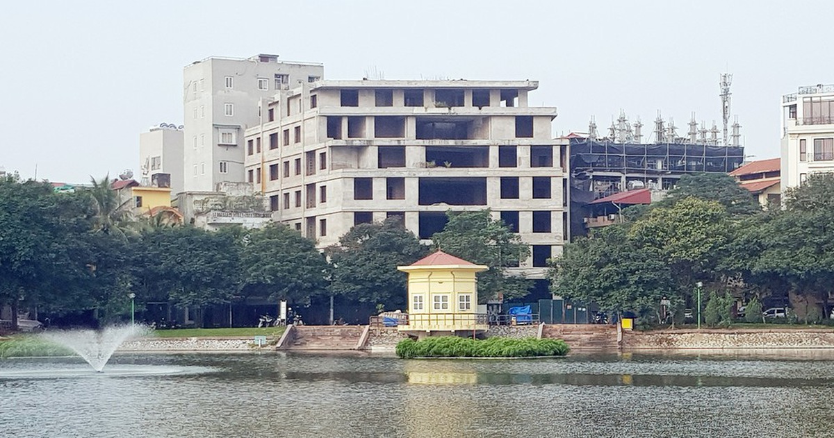 dfa7702c41416d007f7b.jpg