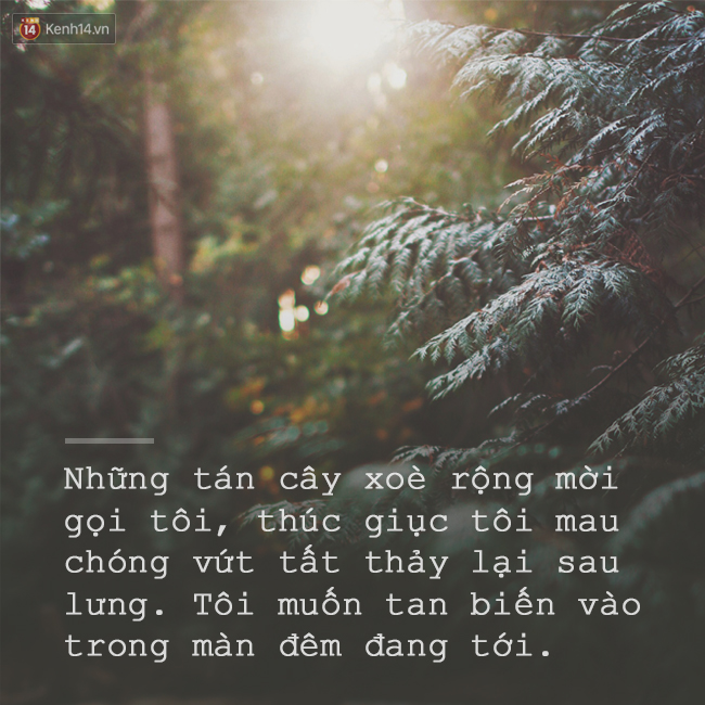 dfc3f3cf84300359febb.jpg