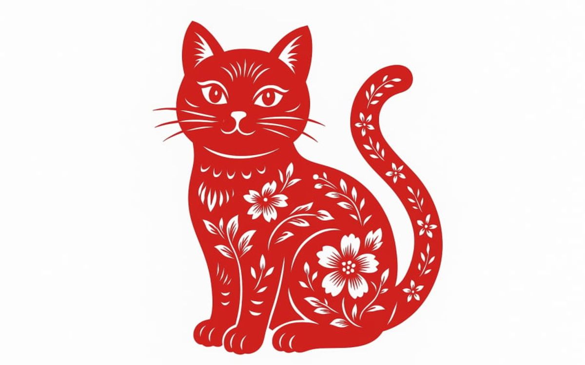 dfc6edce89ef1a86085a.jpg