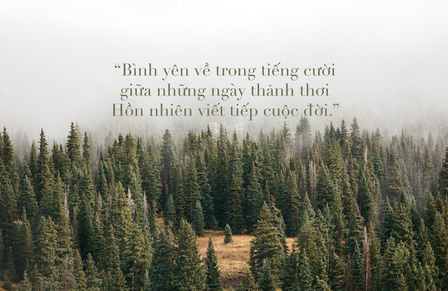 e02df33331d9341c3b7f.jpg