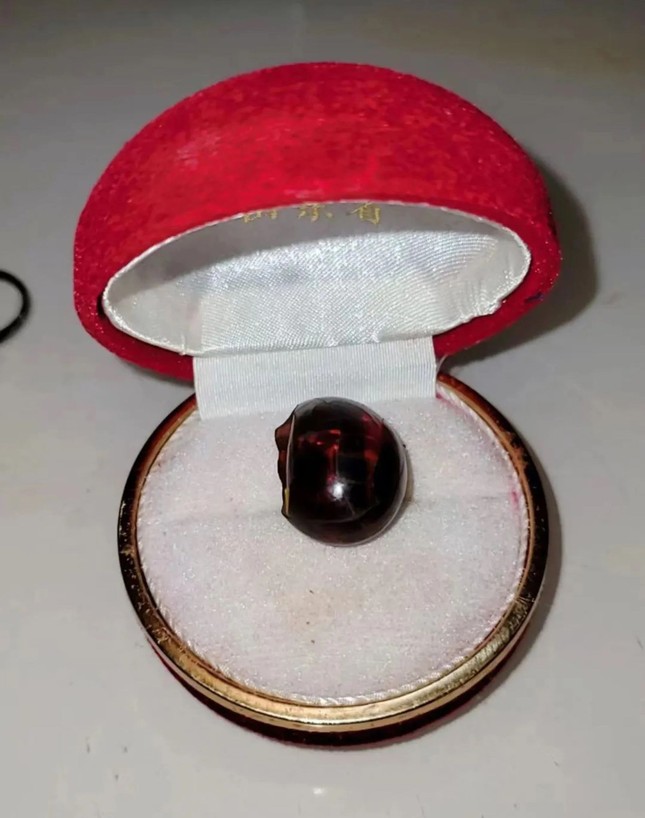 e0316cd7c80de873fee3.jpg