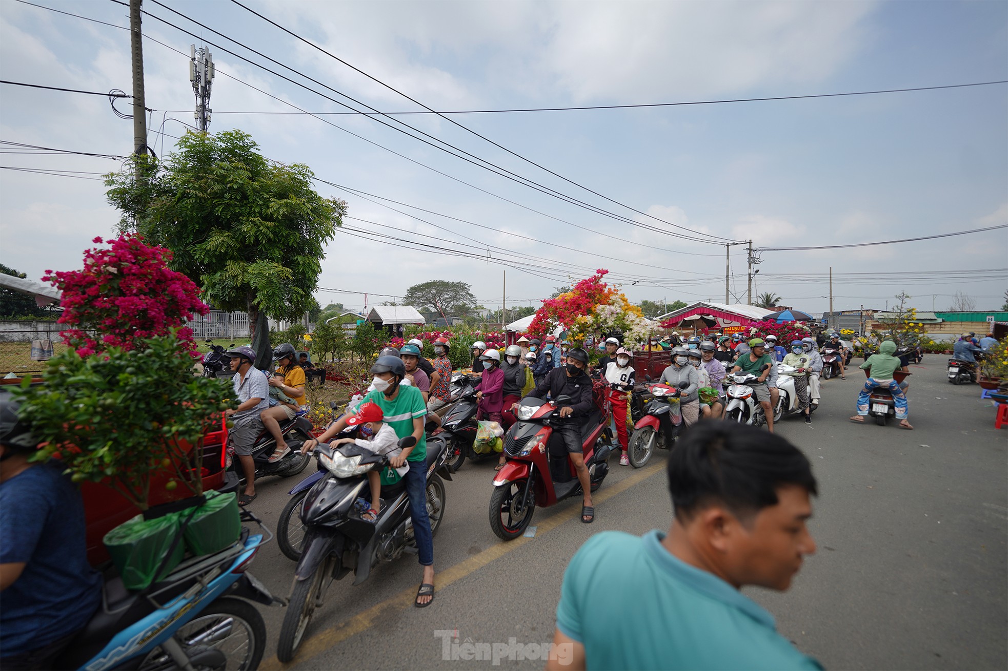 e043aa9c68aa6ae55a46.jpg