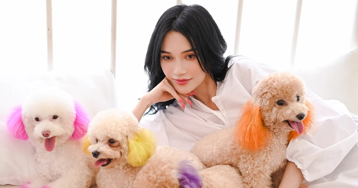 e05fc928834410618a79.webp