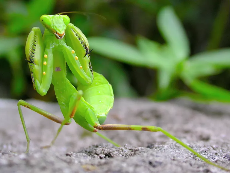 e06f9093dbf3ff09603c.webp