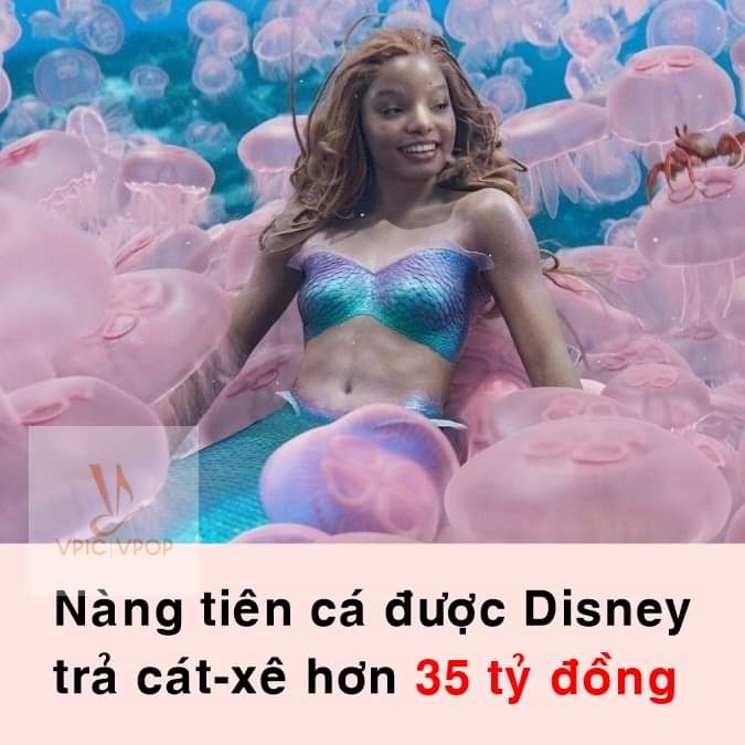 e07f8686549930b03b15.jpg