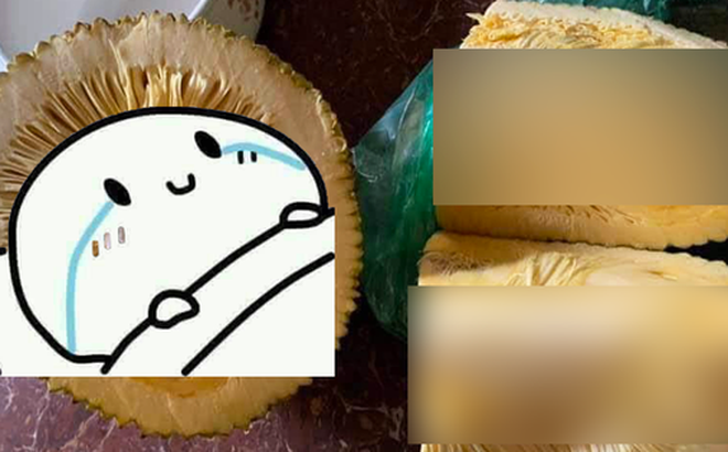 e094477330610e1a860d.png