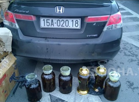 e09b9d070734b7fb3311.jpg