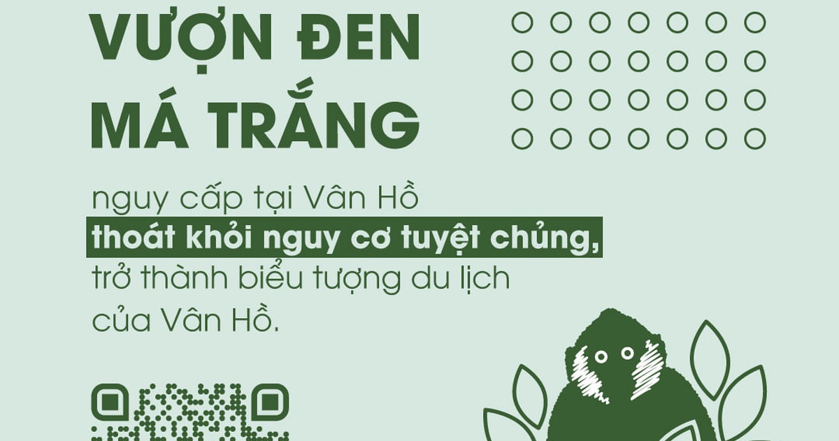 e0a0f80b7647f462d1f9.jpg