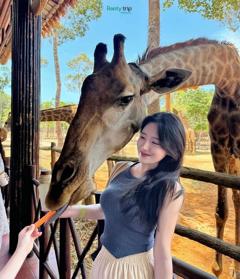 Tour Phú Quốc 3N2Đ Đỉnh Của Chóp: Từ Safari, VinWonders Đến 3 Hòn Đảo Chill Phết
