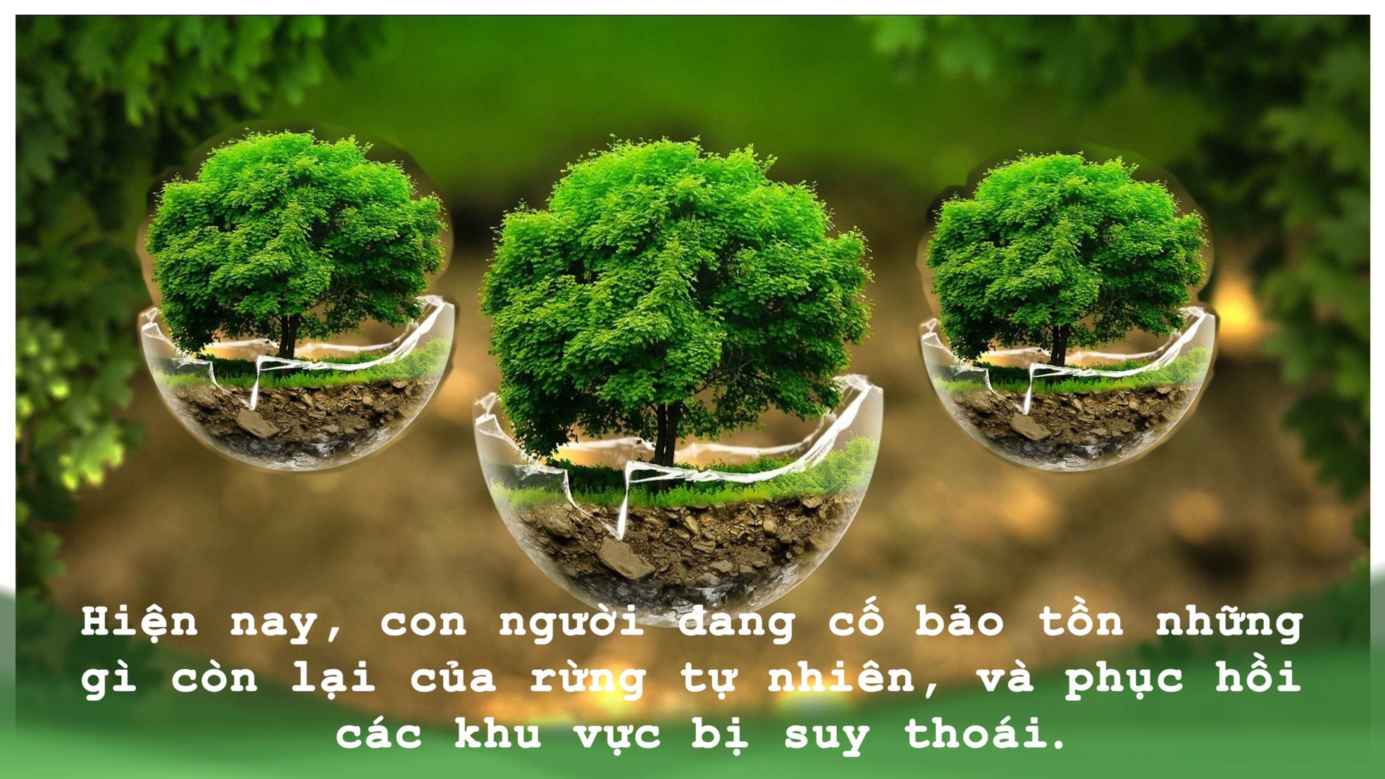 e0c76cefdc8cb6cc04be.jpg