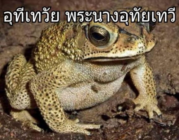 e0f07659bf783dd8da3c.png