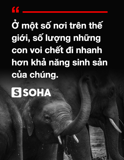e105c4fb20843acc4f18.png