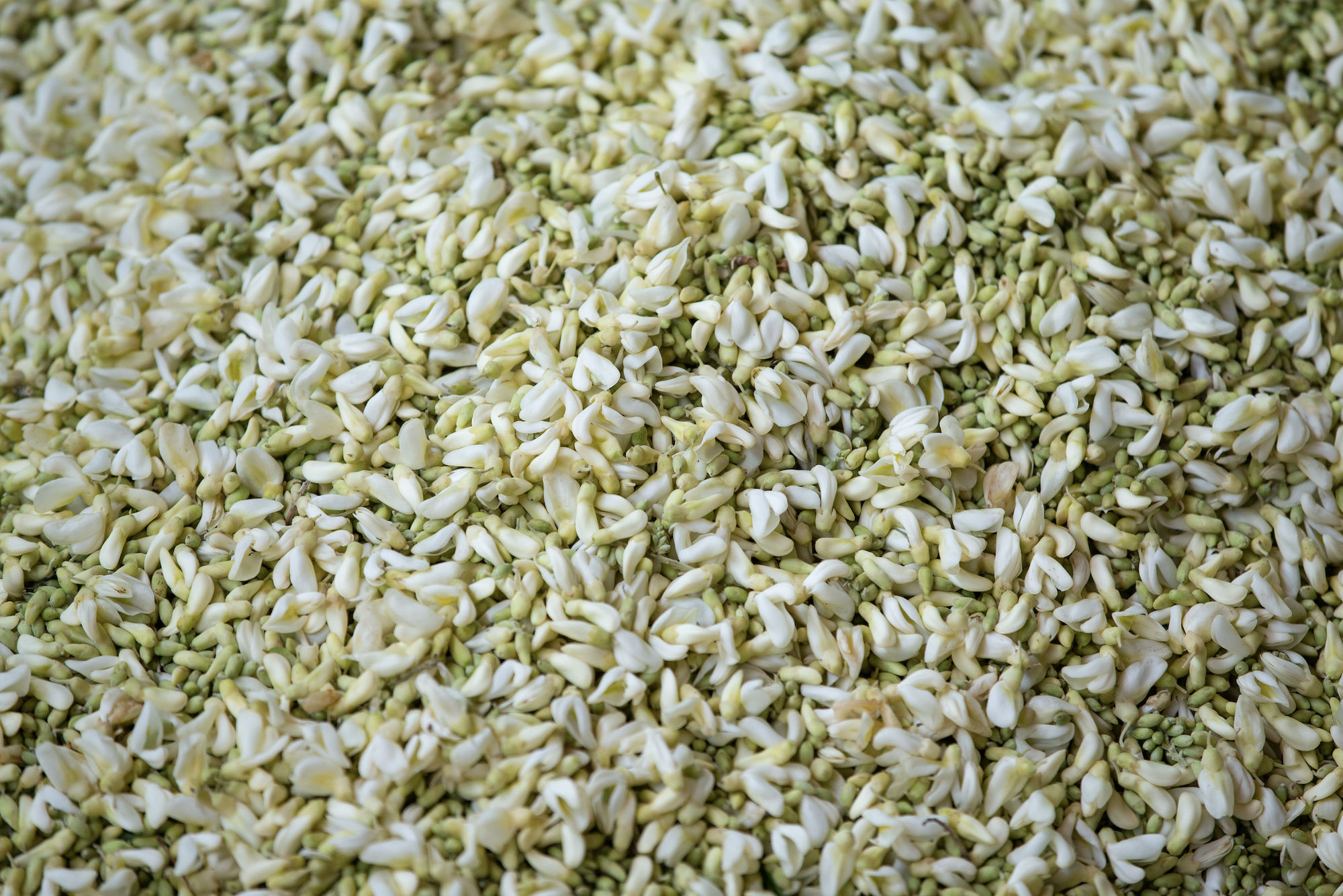 e13cb049508cf8b8f50d.png