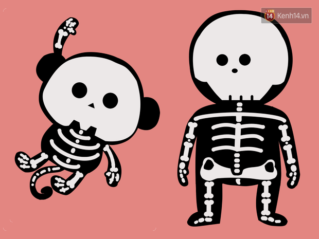e15484c85a0fc8d53f10.png