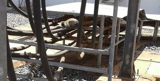 e172dd96e3255ebd75d4.jpg