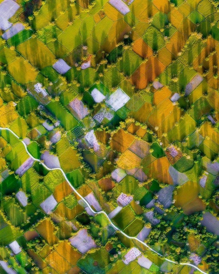 e17f1d2d39c7145a688e.jpg