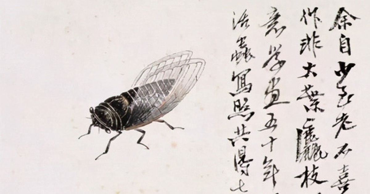 e1b9cda565485e517759.jpg
