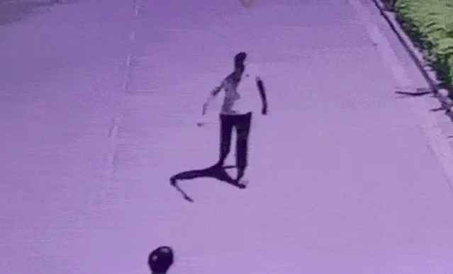 e1bc3aee22259899ffe5.png