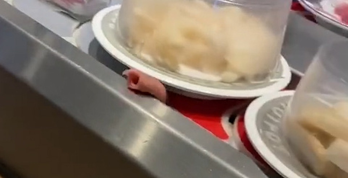 e1e5243a3e93f472ef45.jpg