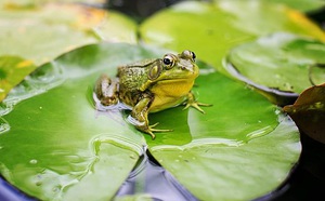 e20e8a97684254f5a7a2.jpg