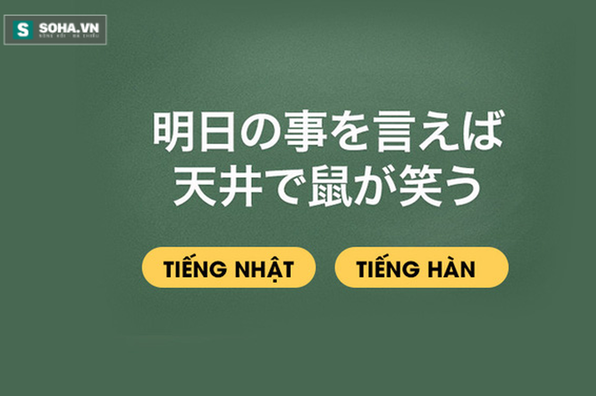 e21b0820c8a3e987a6cf.png