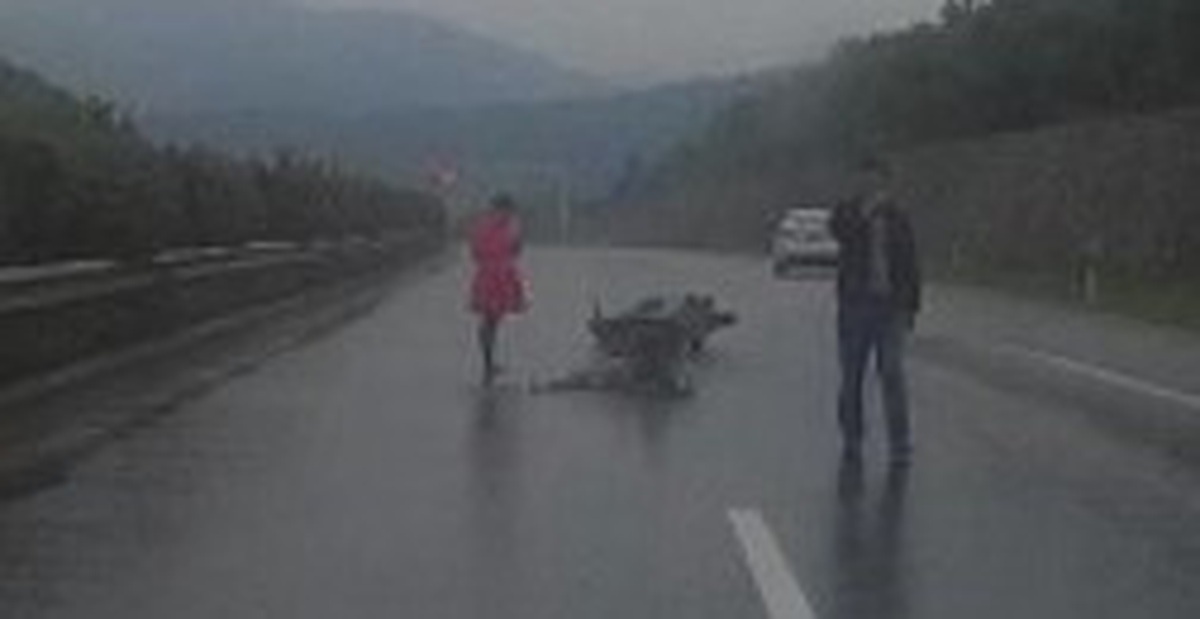 e25879c9b69ac6734df4.jpg