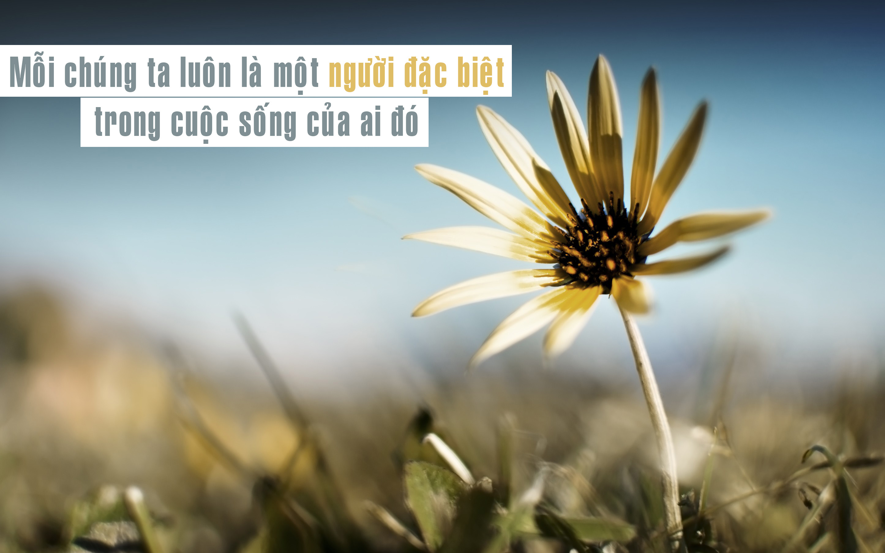 e2af40620c75ab16d08d.jpg