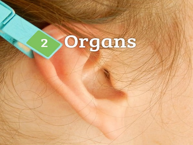 e2c38366ba81139fffc3.jpg