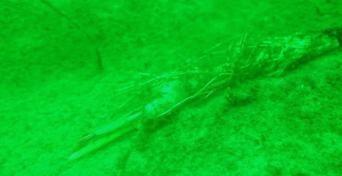 e2d206143de824f9a784.jpg