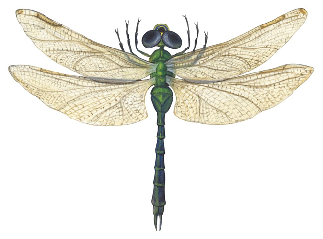 e3127b612ab28b1b59d2.png