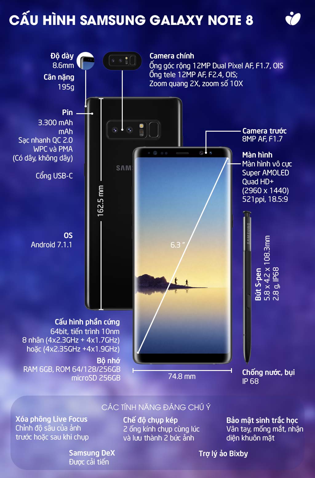 e35df8ebbed1765d6c72.jpg