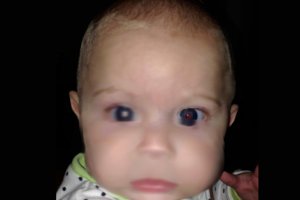 e35f7defef4f48a3cbc1.jpg