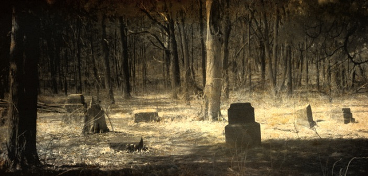 e3af0344f06524dfdb4a.png