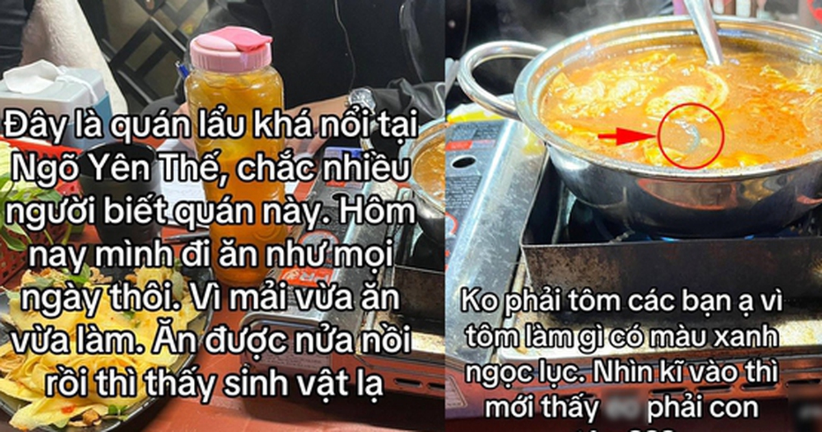 e3ba2ce67cb1efdec56f.jpg
