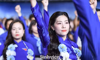 e3bcdc1a879ee1ce3b04.jpg