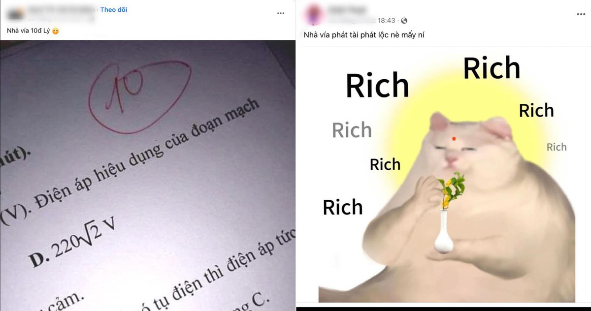 e3fd43cdff050cfdaec9.jpg