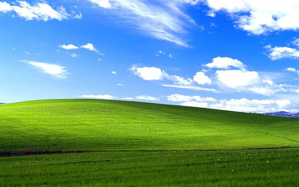 e40843d68df97fbdab61.png