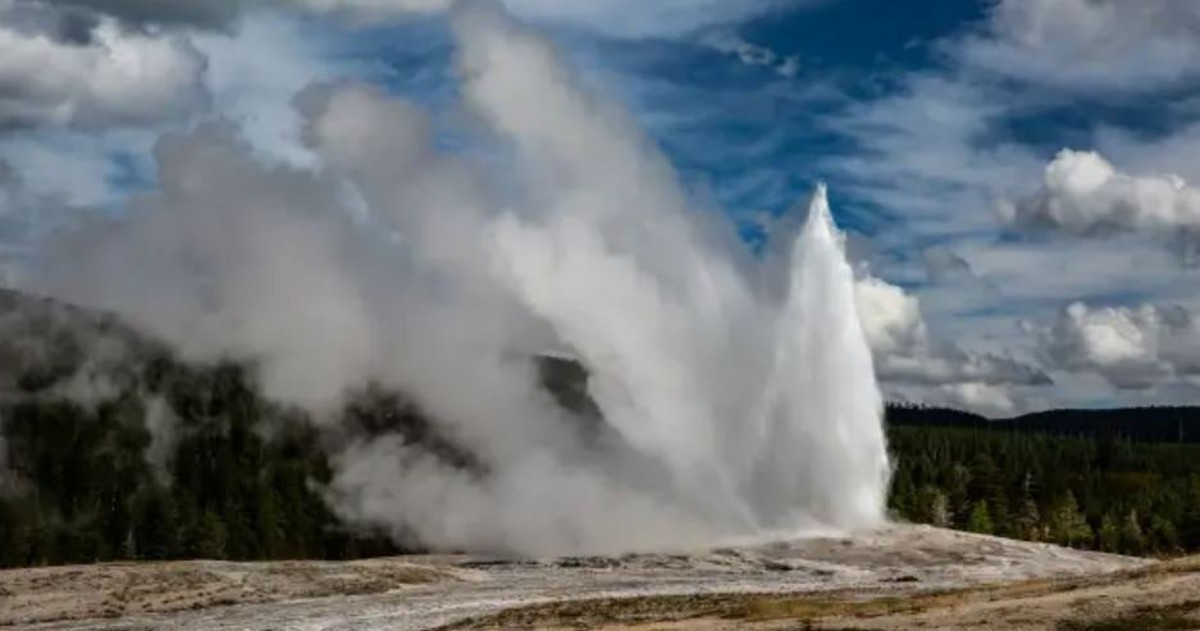 e411a4b4b112840ceaf2.jpg
