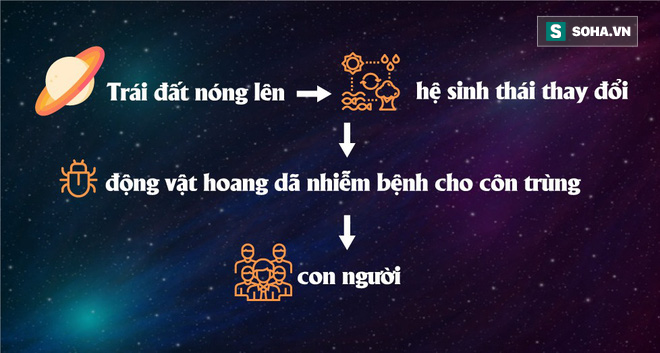 e426d59cb2d79d56689f.png