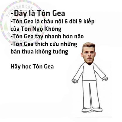 e427504ed30473dd2ff9.jpg
