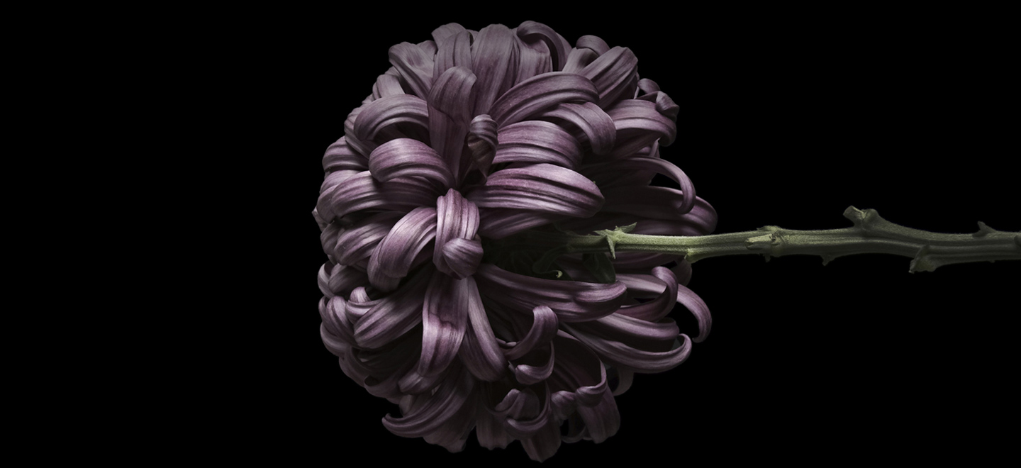 e441664cb1818f897667.jpg