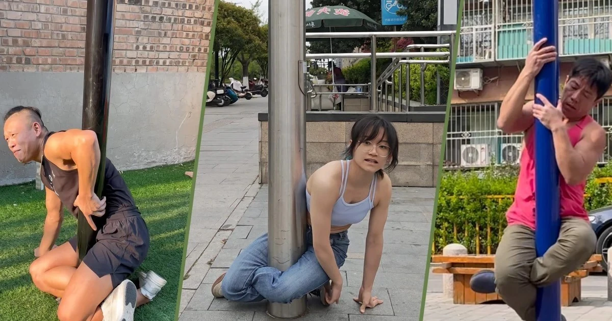 e454c6ec3f3ad6bfdcf7.webp