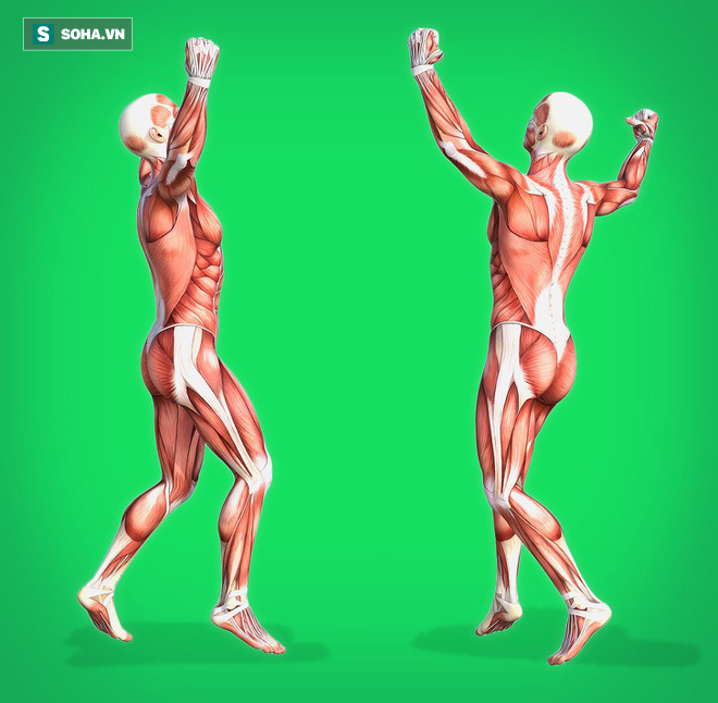 e481663d6366be92d81e.png